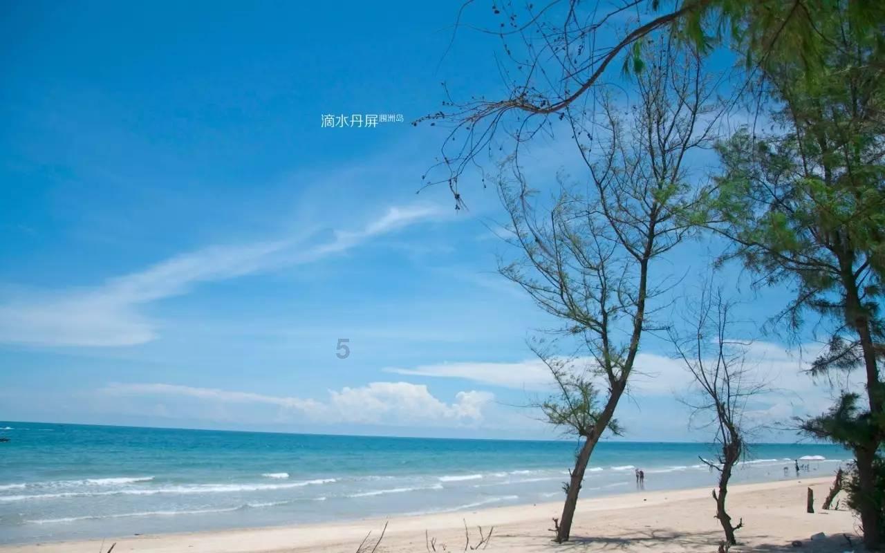 小汪汪